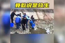盘点那些无知的放生行为，淡水鱼往海里放生，网友：这是杀生！视频封面