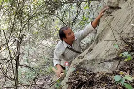 农村小哥天天爬山都干些什么，年收入竟达10万，邻居都红了眼