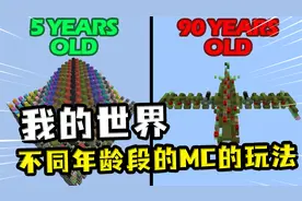 我的世界：不同年龄段的MC玩法，5岁属实辣眼睛，30岁变轰炸机