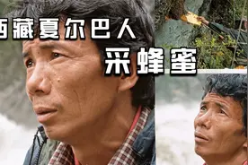 西藏夏尔巴人采蜂蜜的全过程，这种不畏艰险的精神值得学习视频封面