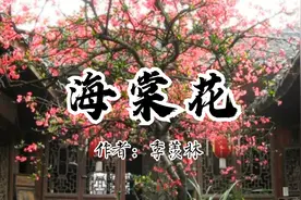【名家经典】今又重阳，读季羡林的《海棠花》，思念我远去的故乡视频封面