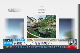 1120南京：小区设施变“别墅区”专享，金隅紫京熙院涉嫌虚假宣传视频封面