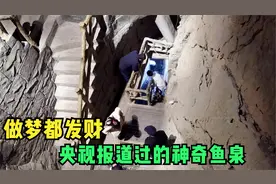 做梦都能发财，重庆大爷家中挖出暗河还有鱼，央视报道过的暴发户视频封面