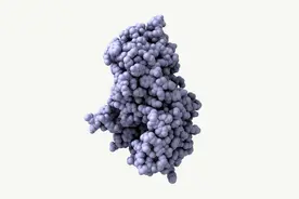 蛋白质是什么?视频封面