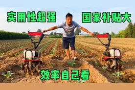 这款小型微耕机特实用，我们这里几乎家家都有，来看下它的实用性视频封面