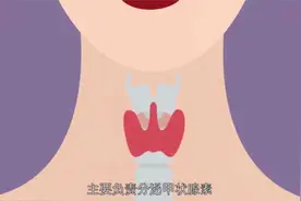 每三人中就有一人有甲状腺结节! 发现甲状腺结节该怎么办视频封面