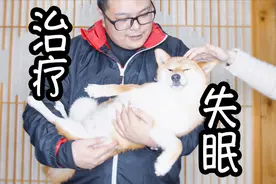 如何治疗一只失眠的狗子，亲测有效！视频封面