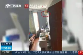 一条蛇在空调上吐信子_小伙子“魂”都快吓没了