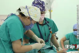 康康体重3.6公斤，病损处如头发丝般粗细，手术难度极大（10）视频封面