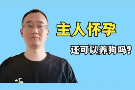 怀孕了还能不能养狗？这个知识点弄清楚，你会为了遗弃狗狗而后悔视频封面