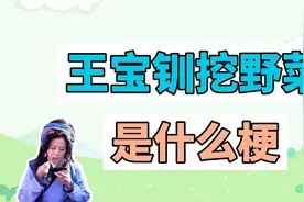 王宝钏挖野菜是什么梗？视频封面