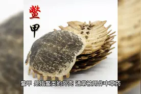 鳖甲的功效