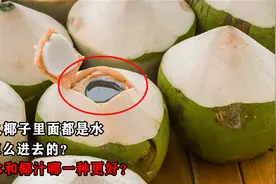 为何椰子里面都是水，它是怎么进去的？椰子水和椰汁哪一种更好？视频封面