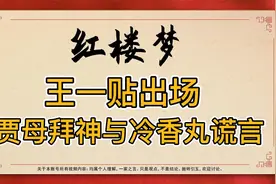 红楼梦：王一贴出场的意义是什么？揭露贾府抄家真相和冷香丸骗局视频封面