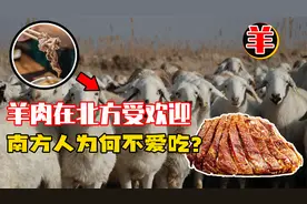 羊肉在北方大受欢迎，南方人却不爱吃，真的是因为膻味重吗？视频封面
