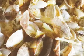 鸡蛋蒸花蛤，张开的花蛤像开放的香花，香气扑鼻，蛤肉肥美。