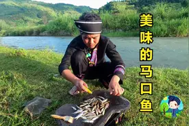 乡村蒙小熙第五集：珠江源头的马口鱼，石板烤出来让人垂涎欲滴！视频封面