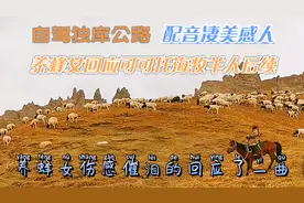 自驾独库公路过那拉提伊犁，养蜂女回应可可托海牧羊人配音太美了视频封面