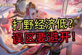打野经济低？误区要避开！视频封面