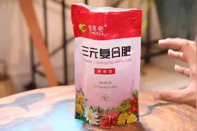 养花用什么通用肥料？园艺师教你，用三元复合肥，促进植物生长