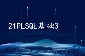 OCA进阶教程21PLSQL基础3视频封面