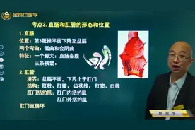 大肠03直肠：位置、两个弯曲、特征；肛管：境界、结构、括约肌