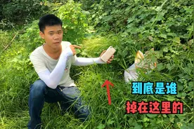 小海在河边散步，路过草丛时里面竟然传出奇怪的声音，到底咋回事视频封面