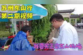 苏州人应该不会骗上海人吧，东山杨梅50元5斤，这价格实惠吗视频封面