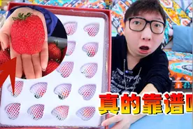 网上卖的号称跟手掌一般大的“99丹东草莓”，真的靠谱吗？视频封面