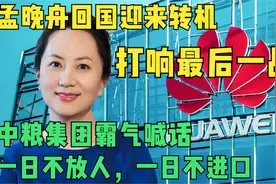 孟晚舟回国迎来转机？中粮：一日不放人！一日不恢复进口！视频封面