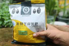 养花用什么有机肥？园艺师教你，可以用芝麻饼肥，所有植物都通用视频封面