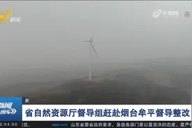 风电项目建设大半年,却没有用地审批手续?相关行政处罚程序已下达视频封面