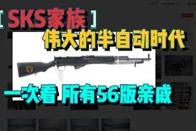 56半自动家族，从原产的SKS看到精美南斯拉夫最后一代夜视功能版视频封面