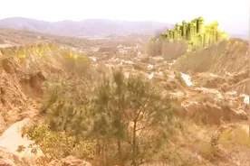 生肖：原来蛇有四足，青蛙无足，后来天帝把蛇的四足砍了送给青蛙视频封面