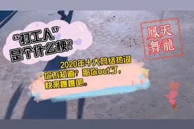 “打工人”是个什么梗？2020年十大网络热词你不知道？那你out了视频封面