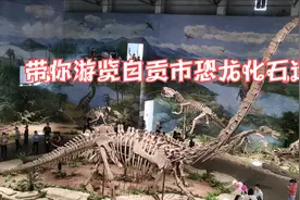 带你游览自贡恐龙博物馆，世界三大恐龙遗址博物馆之一，鬼斧神工视频封面