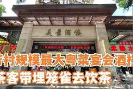芳村浣花路规模最大粤菜宴会酒楼茶客带埋笼雀去饮茶视频封面