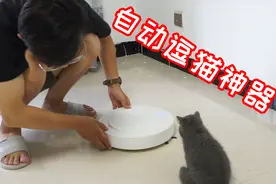 小伙为逗小猫开心，在拼多多49元买扫地机器人，把猫吓得乱跑