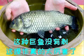吃了几十年的鲫鱼，这样做还真的不一样，鲜美细嫩入味关键是无刺视频封面