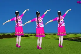 老歌广场舞《山不转水转》水不转风在转，永远的经典，听不够视频封面