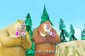 熊出没：熊大熊二祭奠小树，熊二一番话，熊大感动落泪.flv视频封面