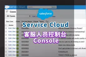Service Cloud的核心Console~ 来看看坐席能如何使用Salesforce视频封面