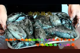 煮出来全是黑墨难以下嘴的白灼墨鱼，吃起来非常鲜香有味肉质Q弹视频封面