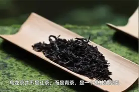 乌龙茶是红茶吗？有什么特点视频封面