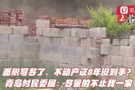 面积写多了，不动产证8年没到手？青岛村民委屈：多量的不止一家视频封面