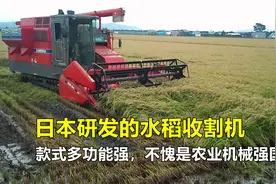 日本研发的水稻收割机，款式多样功能实用，不愧为农业机械强国！视频封面
