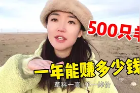 内蒙普通牧民一年能赚多少？500只羊吃青储要花20万，利润有多高视频封面