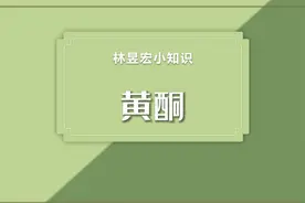 林昱宏小知识——黄酮视频封面
