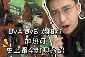 史上最全解释灯具解释UVA灯UVB灯日夜灯太阳灯陶瓷灯加热灯的区别