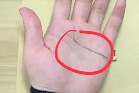 感情线末端出现分叉：末端分两叉 ，且分叉向上